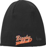 Biggby Coffee AAA New Era Knit Beanie