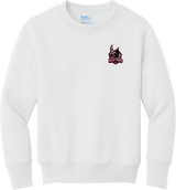 NJ Valkyries Youth Core Fleece Crewneck Sweatshirt